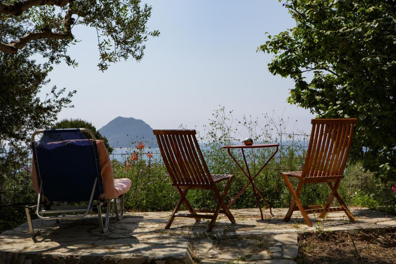 Villa Anta House By The Sea Lithakia  エクステリア 写真