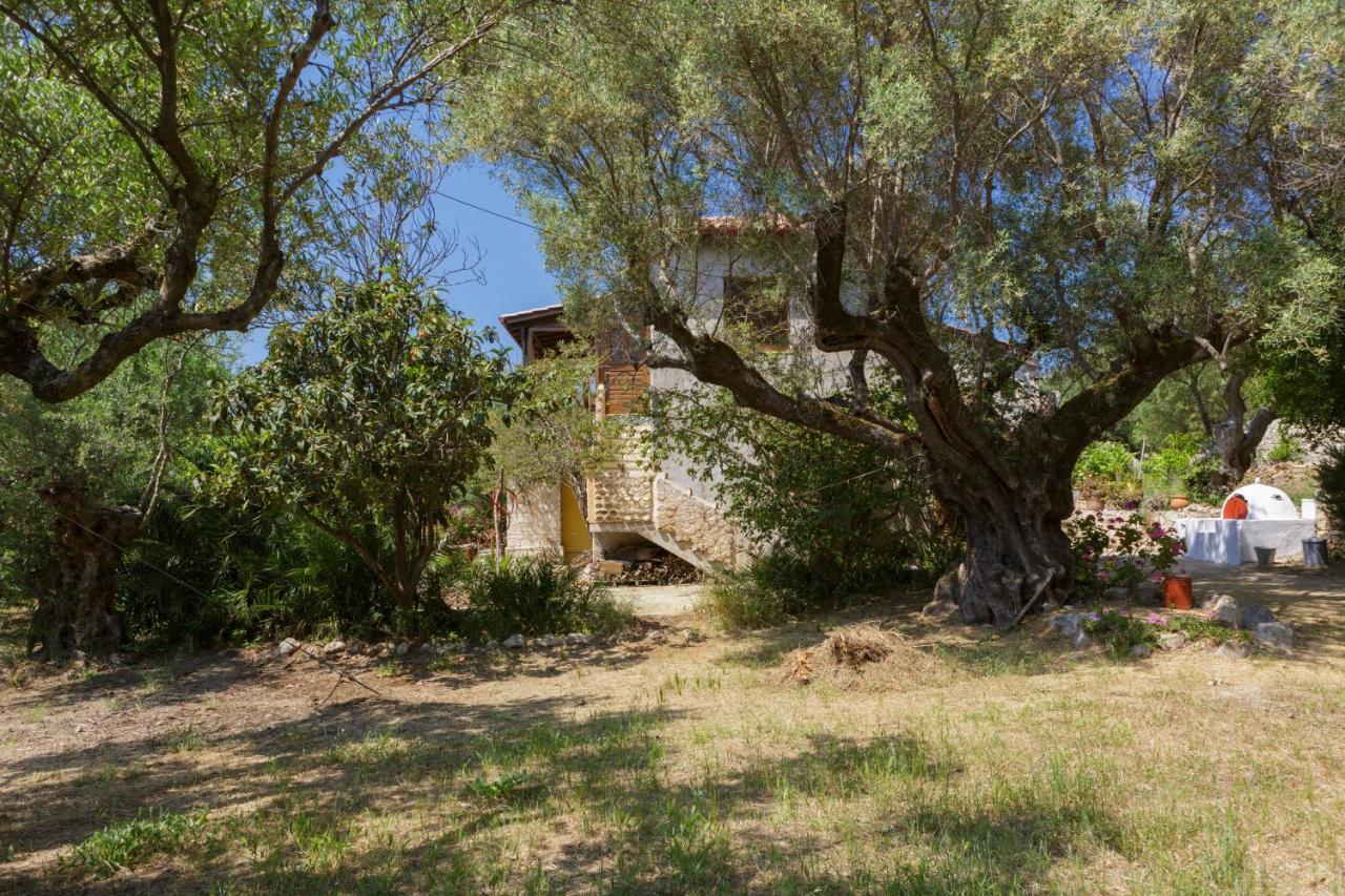 Villa Anta House By The Sea Lithakia  エクステリア 写真