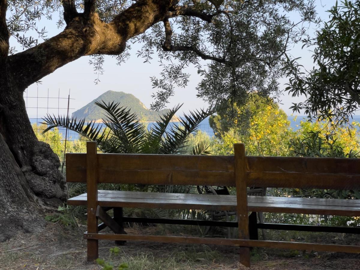 Villa Anta House By The Sea Lithakia  エクステリア 写真
