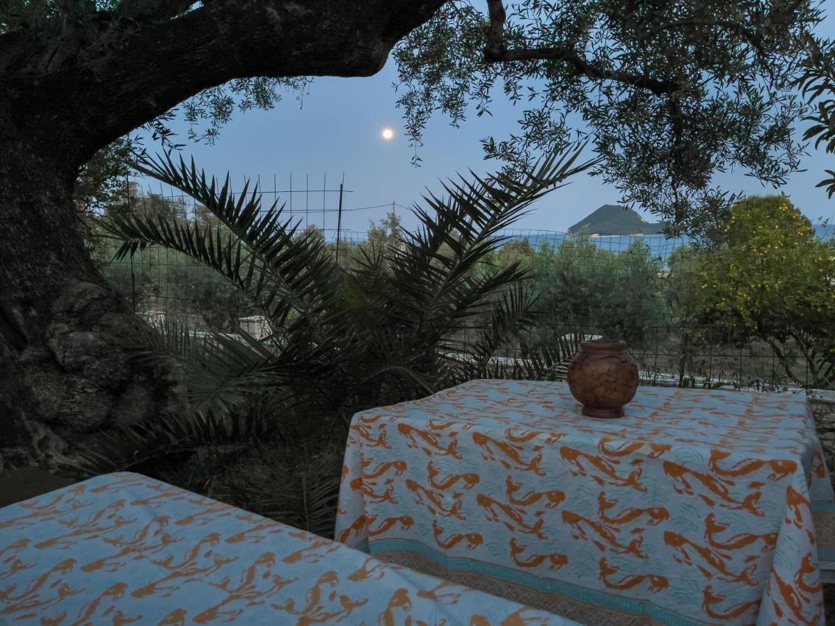 Villa Anta House By The Sea Lithakia  エクステリア 写真