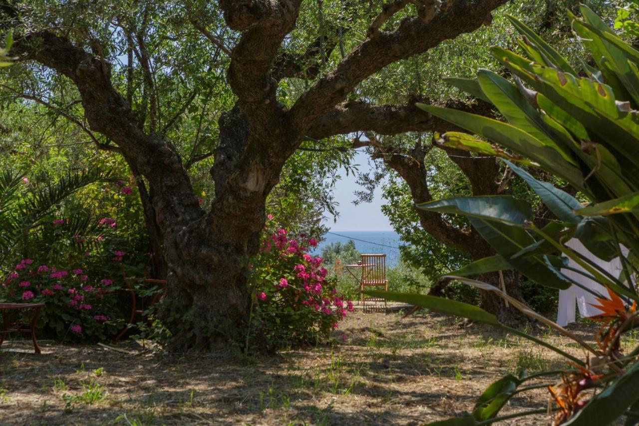 Villa Anta House By The Sea Lithakia  エクステリア 写真