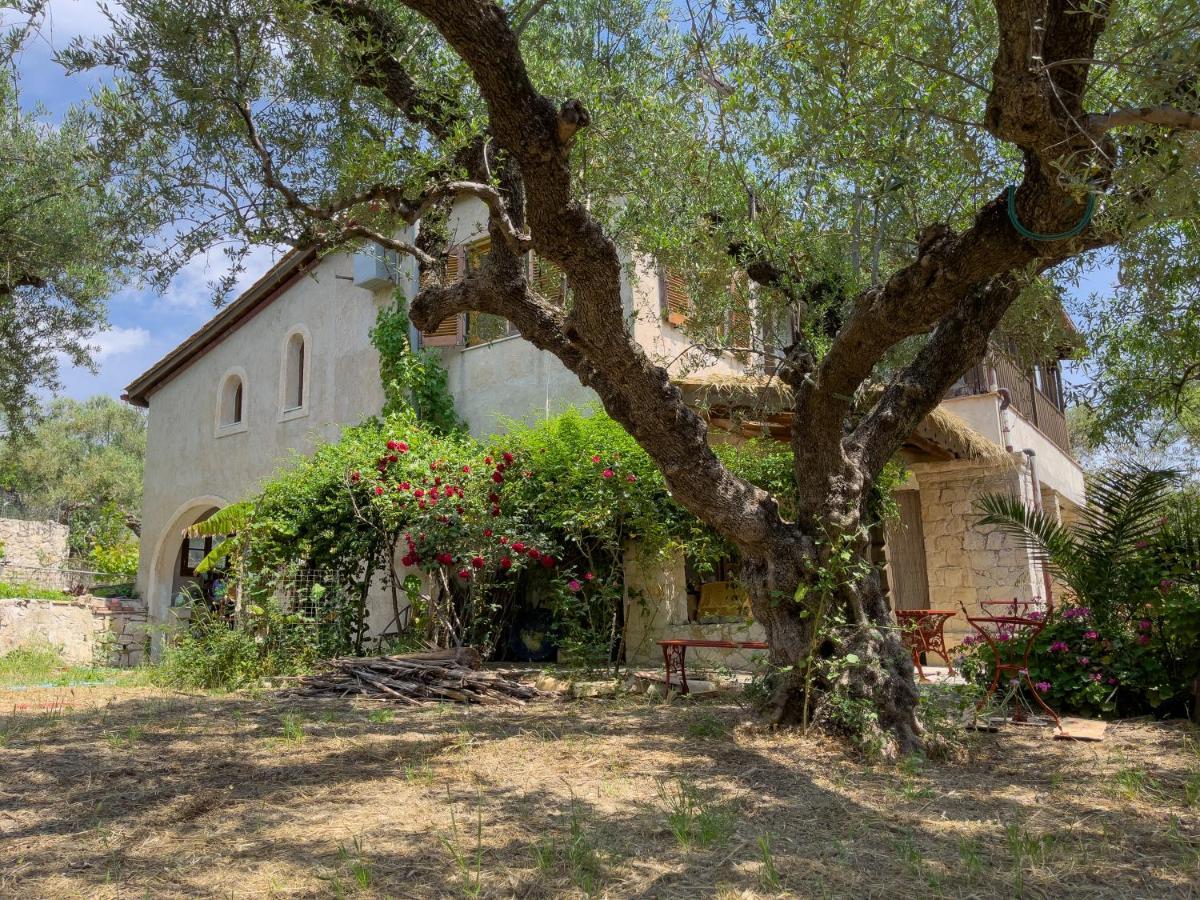 Villa Anta House By The Sea Lithakia  エクステリア 写真