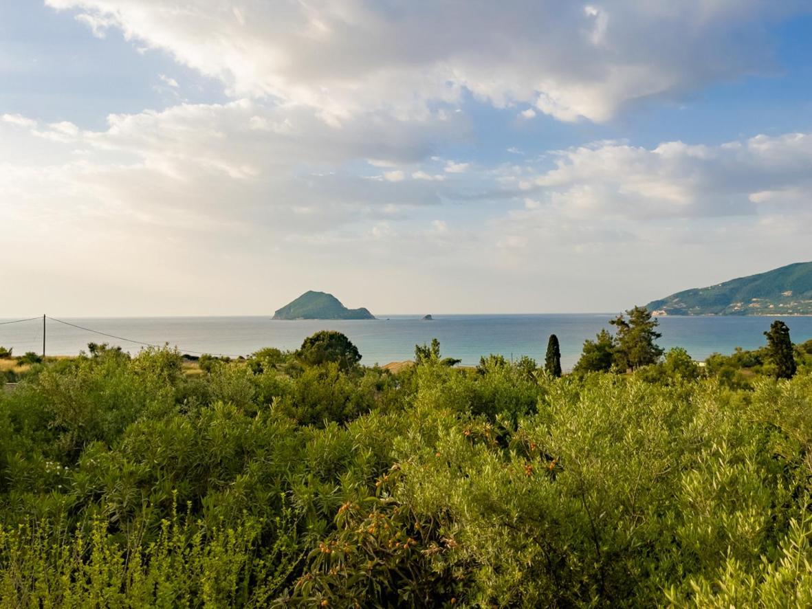 Villa Anta House By The Sea Lithakia  エクステリア 写真