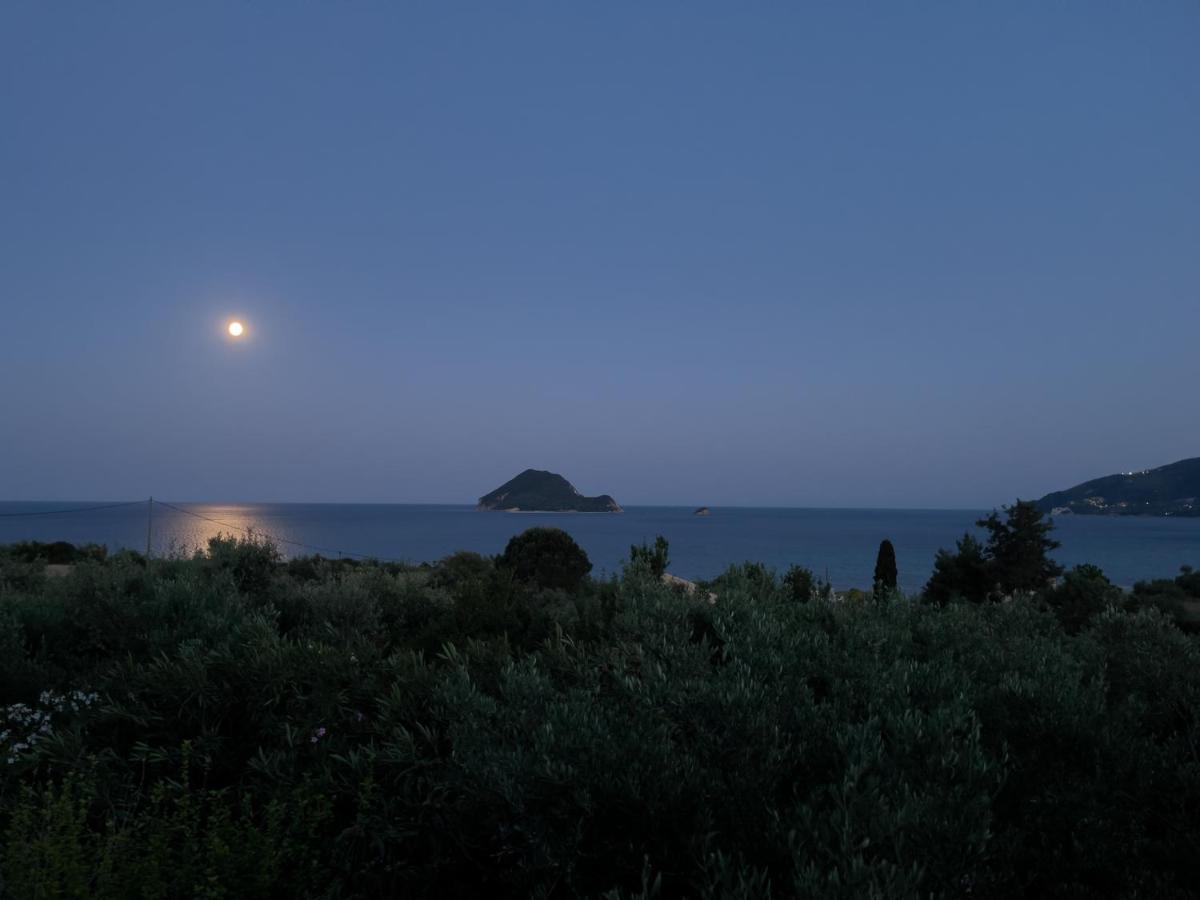 Villa Anta House By The Sea Lithakia  エクステリア 写真