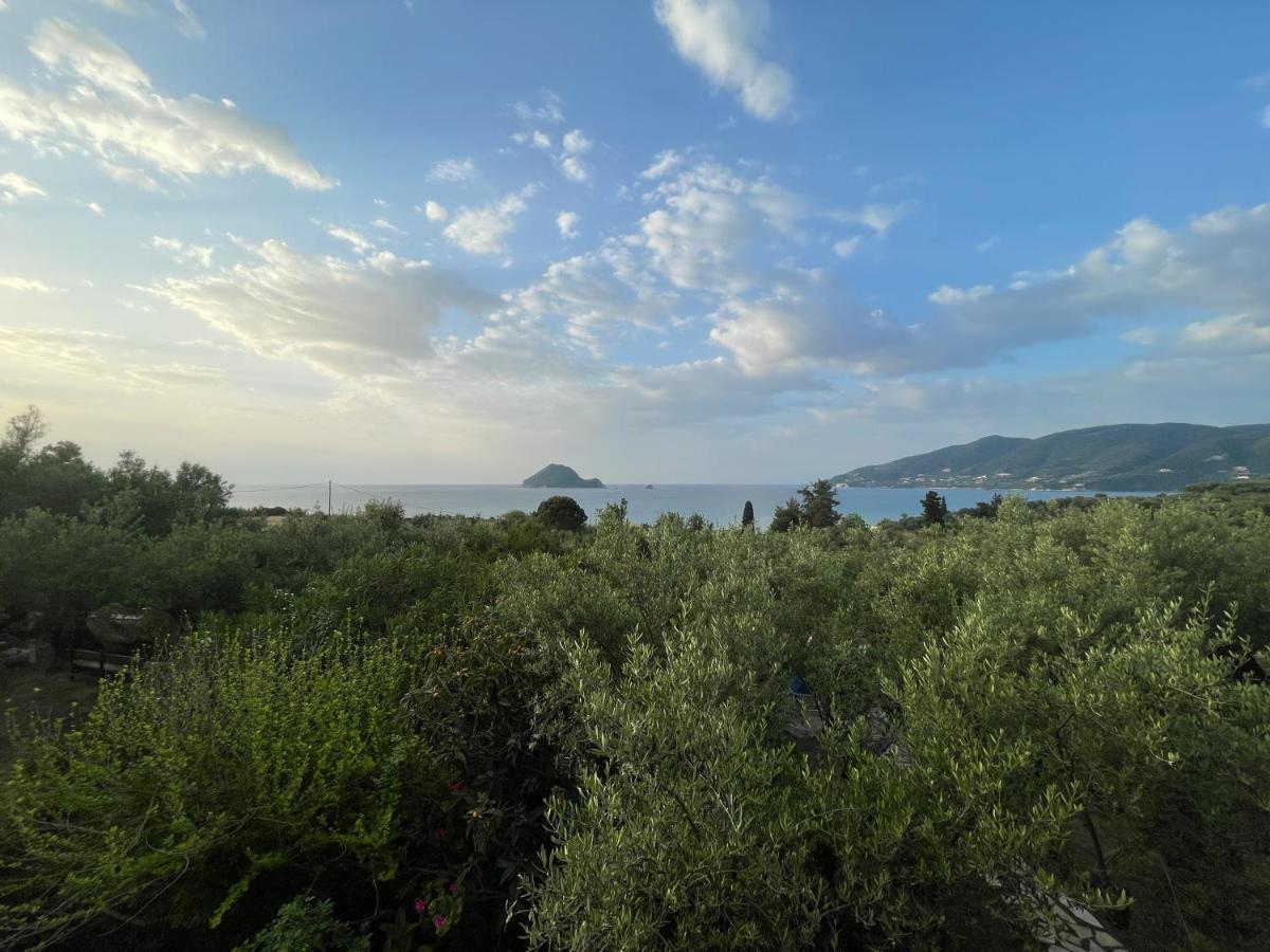 Villa Anta House By The Sea Lithakia  エクステリア 写真