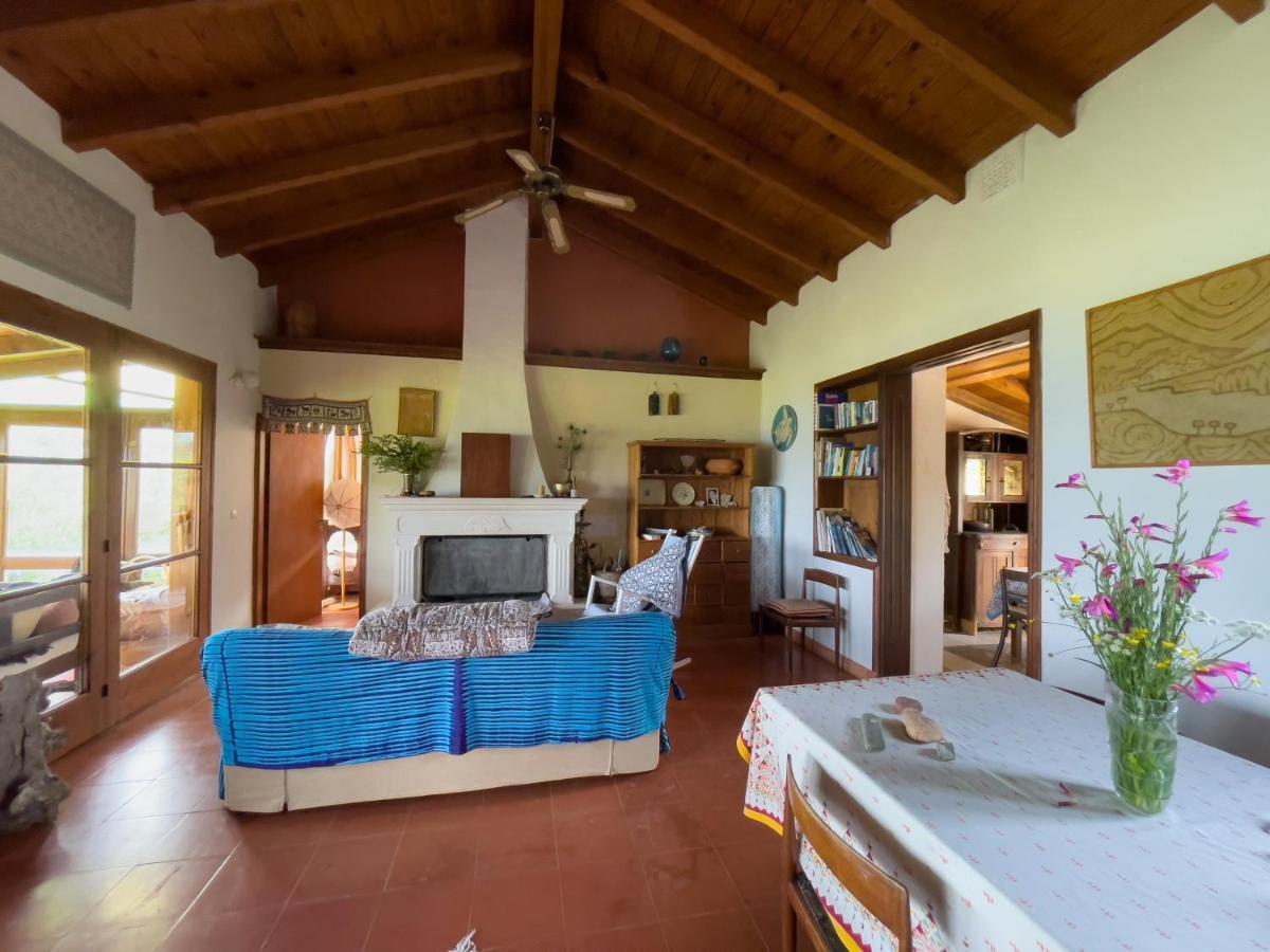 Villa Anta House By The Sea Lithakia  エクステリア 写真